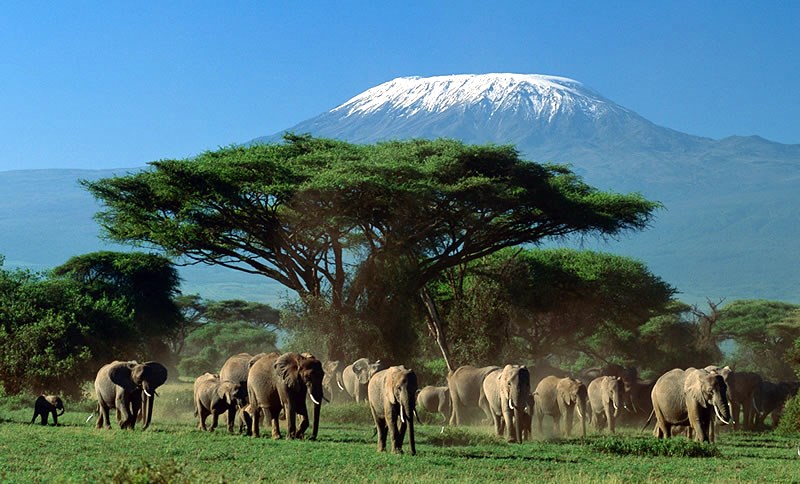 Amboseli | LAT.40