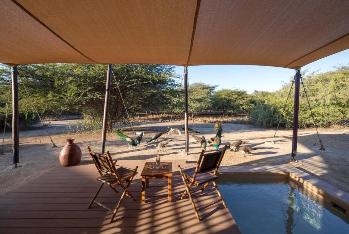 Anantara Sir Bani Yas Island Al Sahel Villa Resort en Abu Dhabi