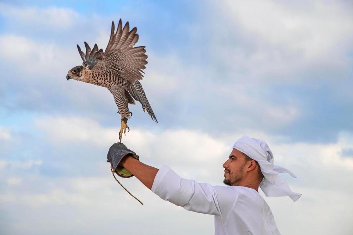 Anantara Sir Bani Yas Island Al Sahel Villa Resort en Abu Dhabi