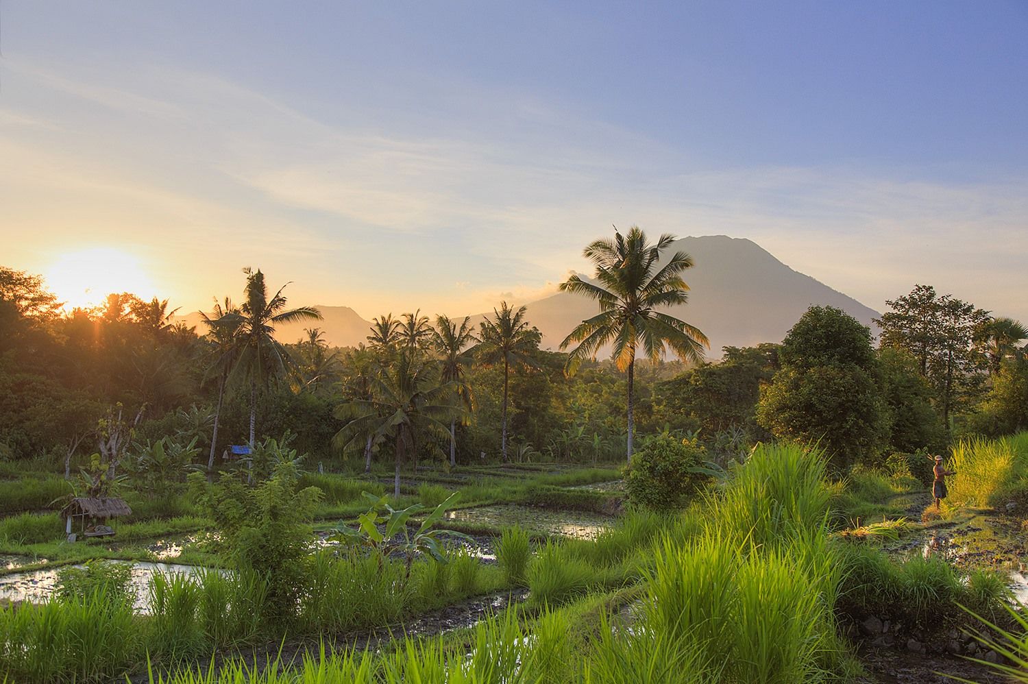 bali | LAT.40