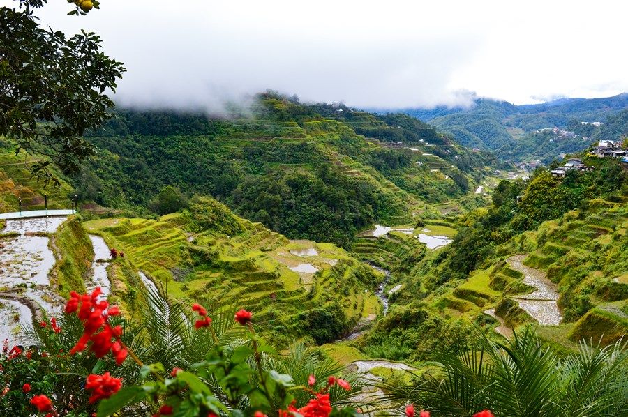 Banaue | LAT.40