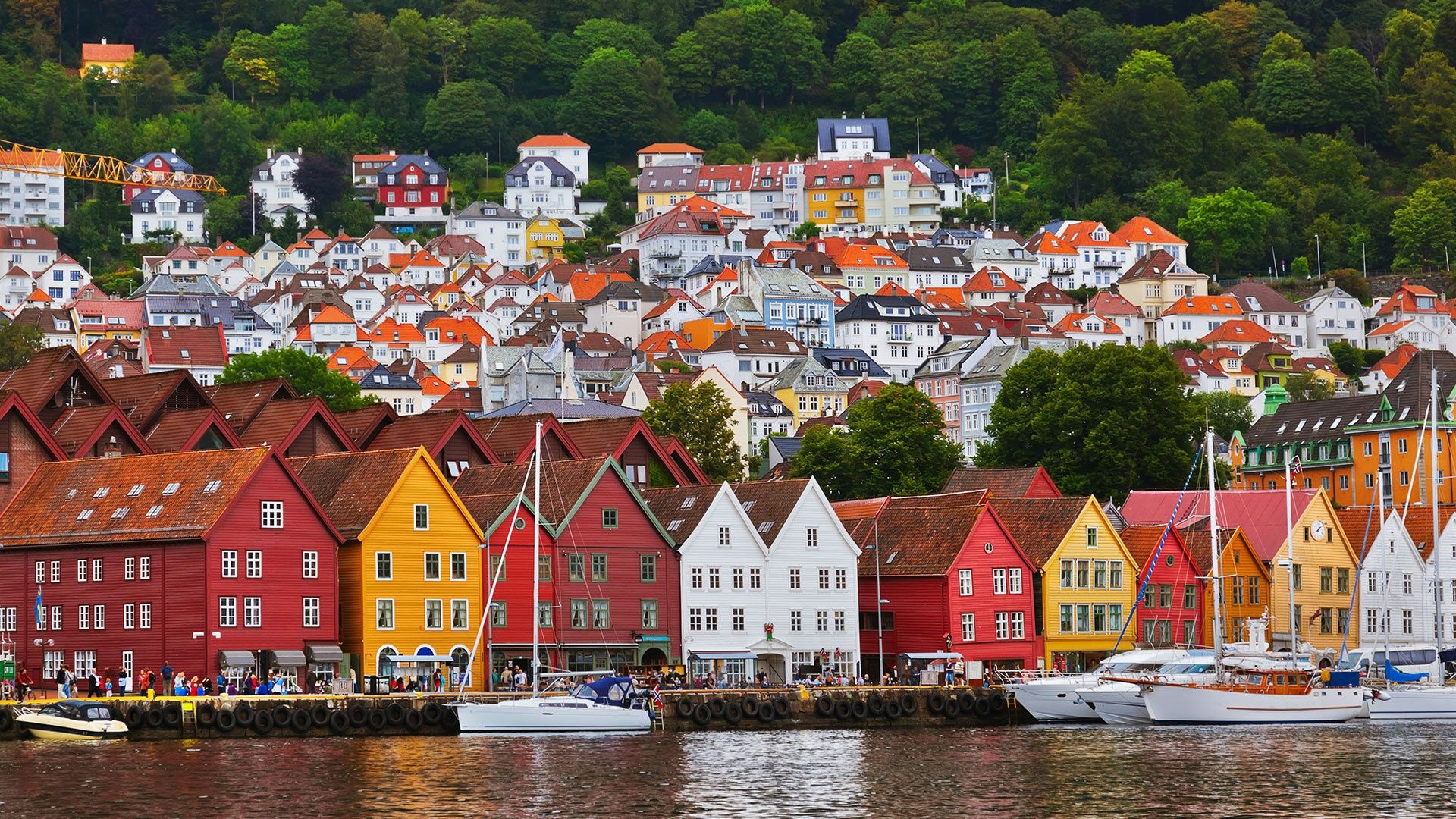 Bergen | LAT.40