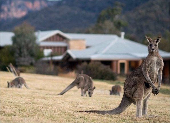 Emirates One & Only Wolgan Valley en Blue Mountains
