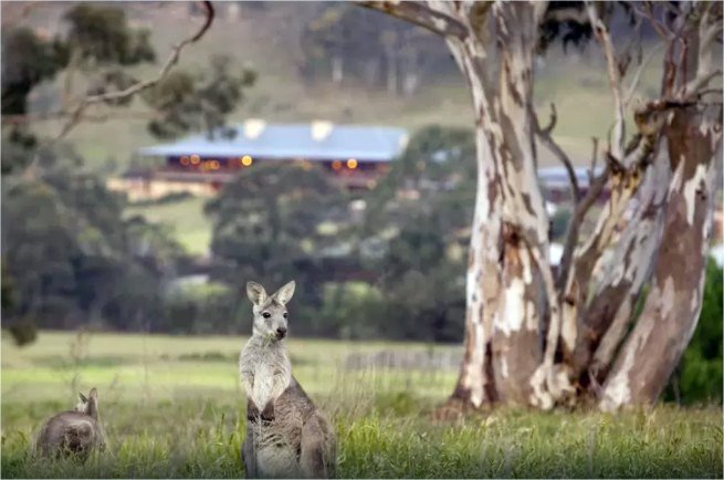 Emirates One & Only Wolgan Valley en Blue Mountains