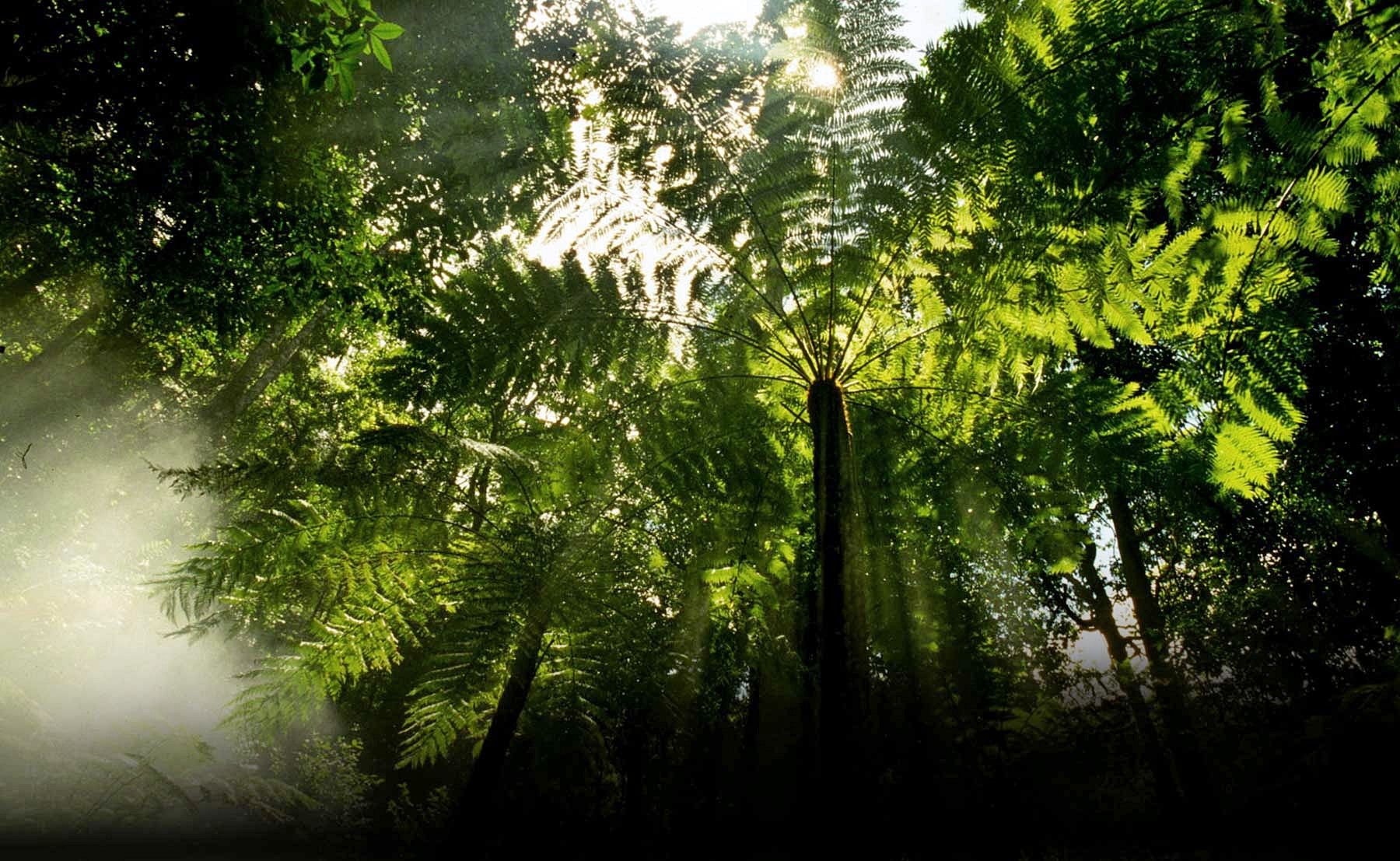 Imagen de viaje Viajes Latitud40