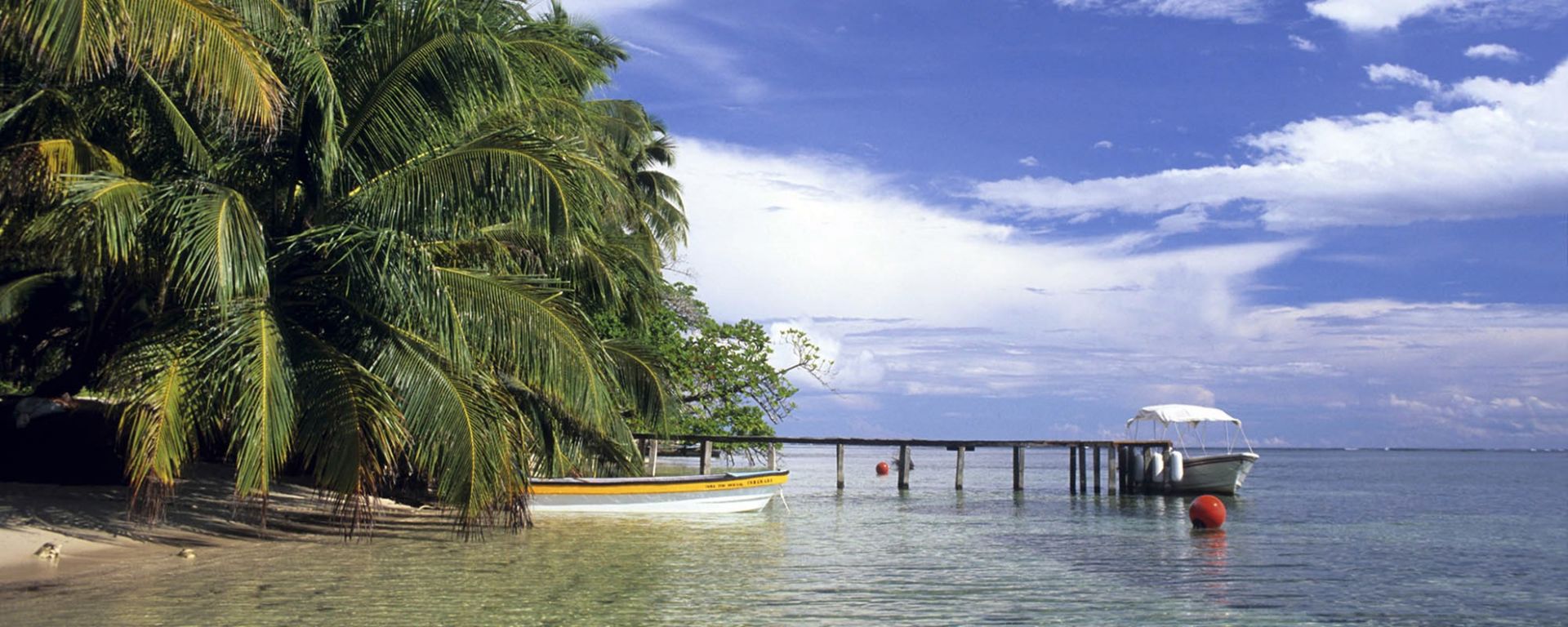 Panamá | LAT.40