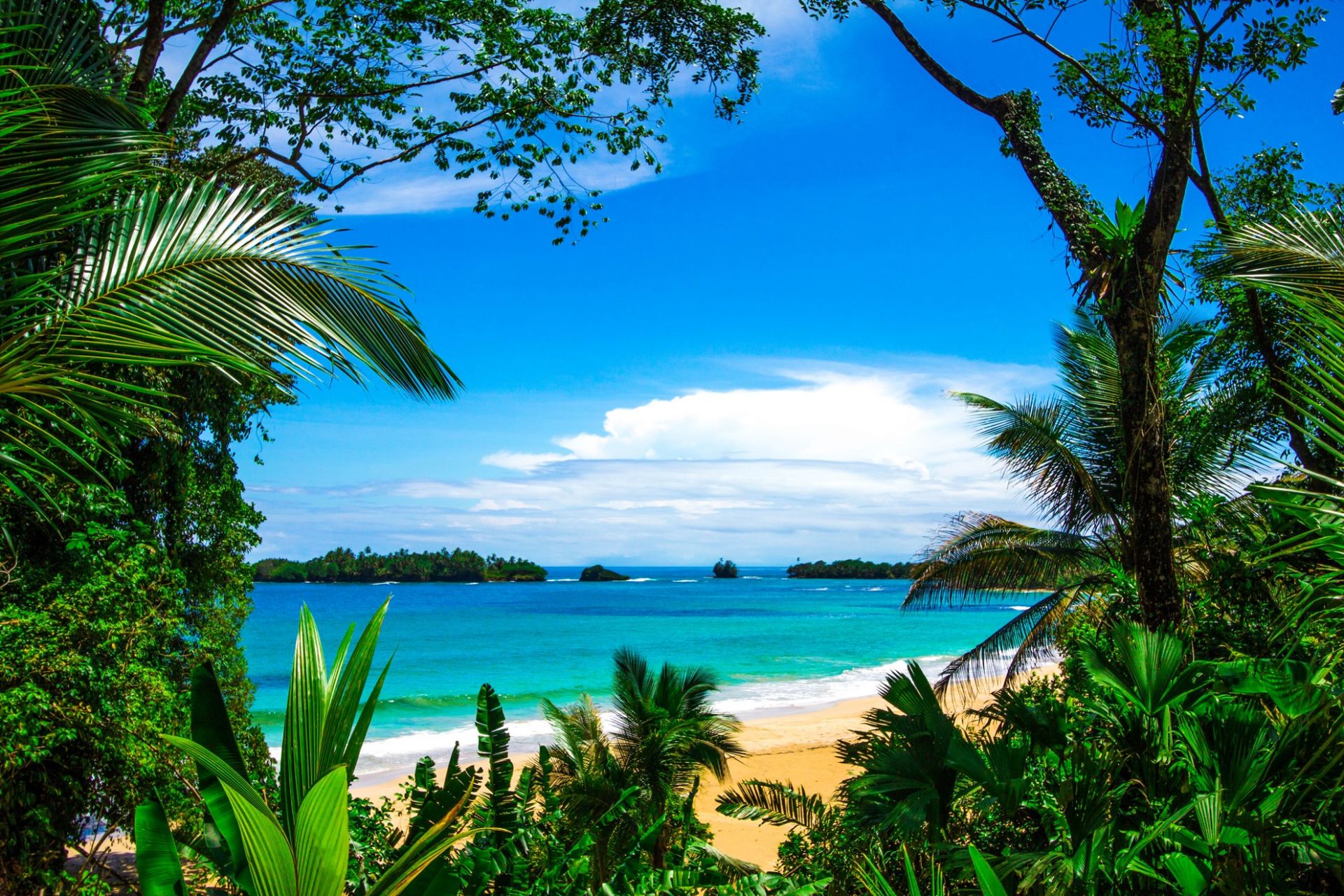 Red Frog Beach Island Resort en Bocas del Toro