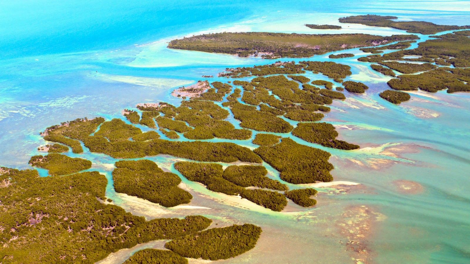 Cayos Florida | LAT.40