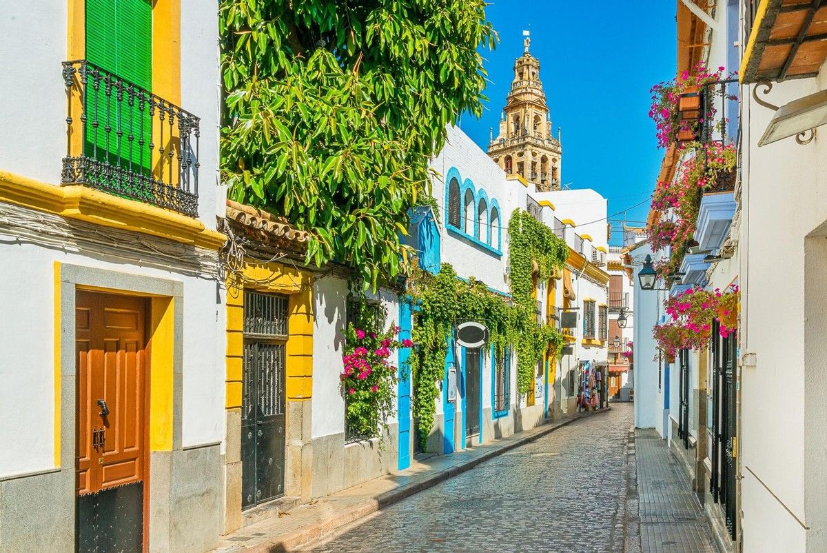 Córdoba | LAT.40