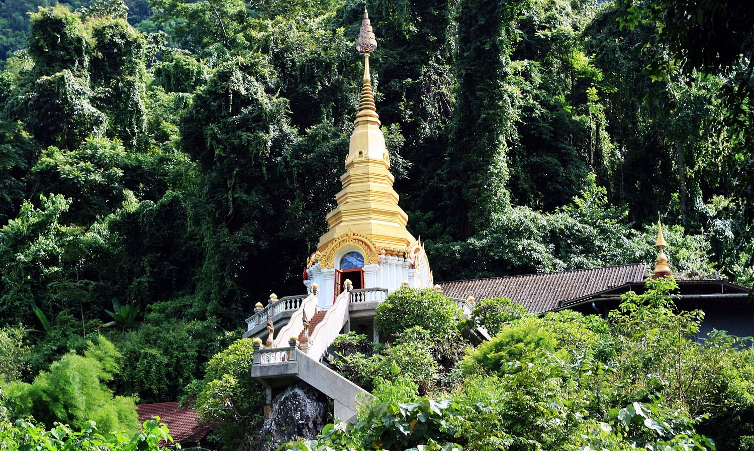 Cuevas Chiang Dao en elefante | LAT.40