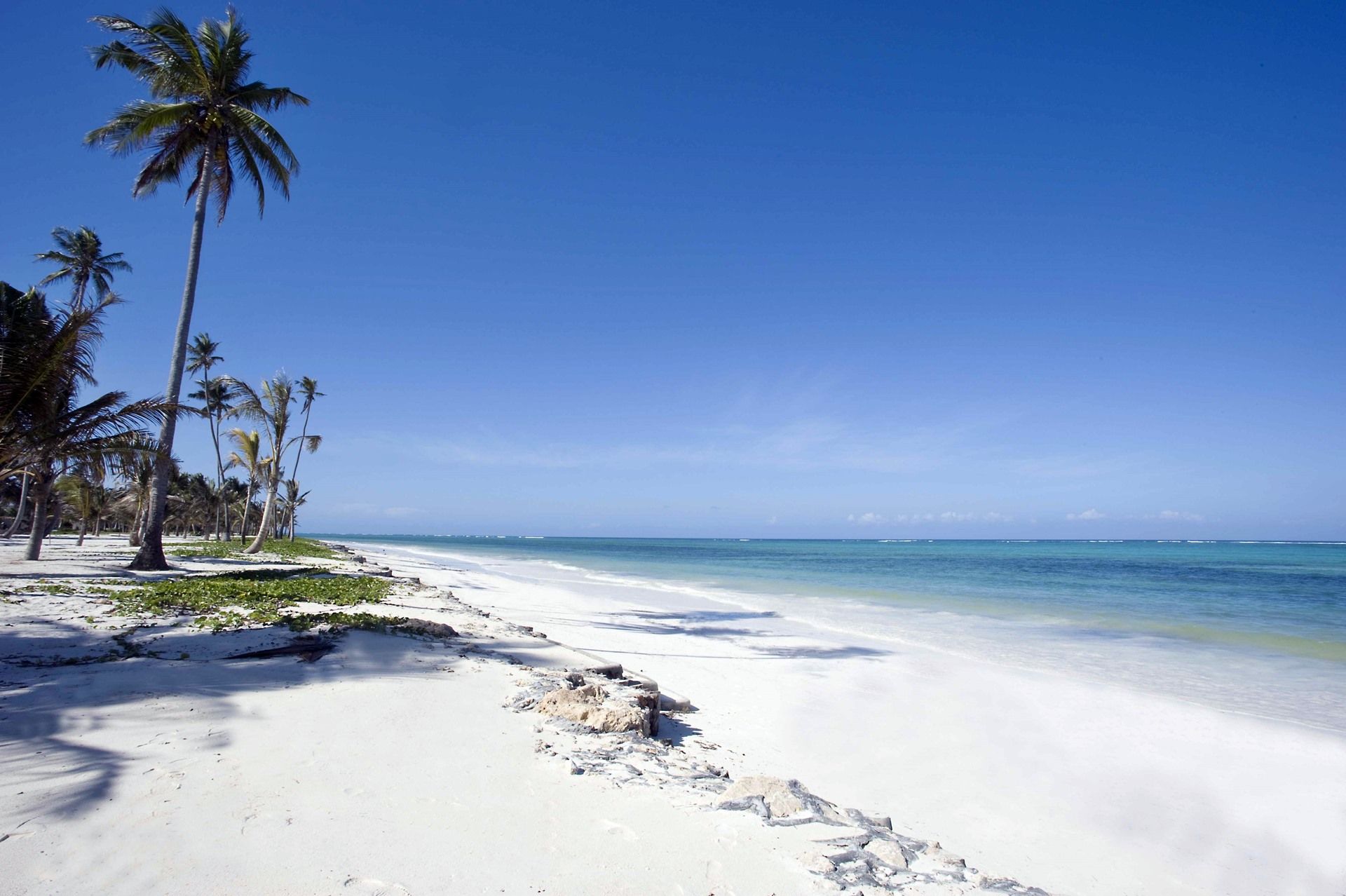 Diani Beach | LAT.40