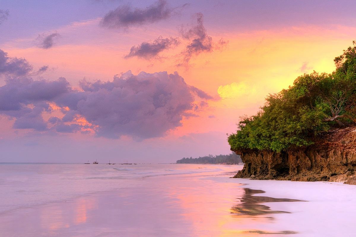 Diani Beach | LAT.40
