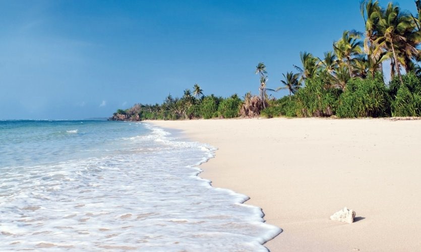 Diani Beach | LAT.40