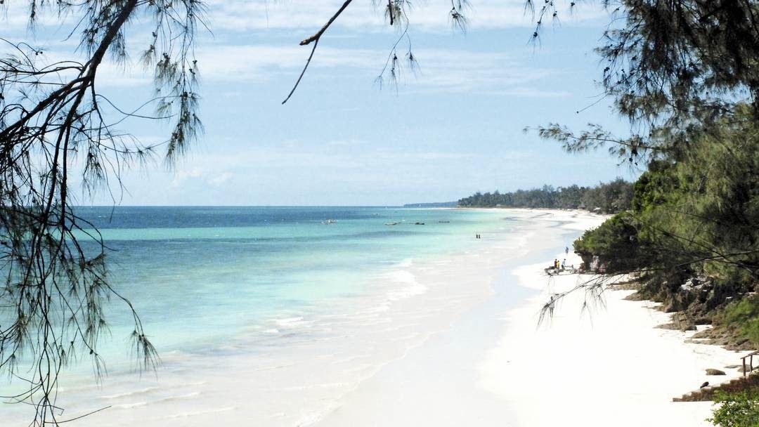 Diani Beach | LAT.40