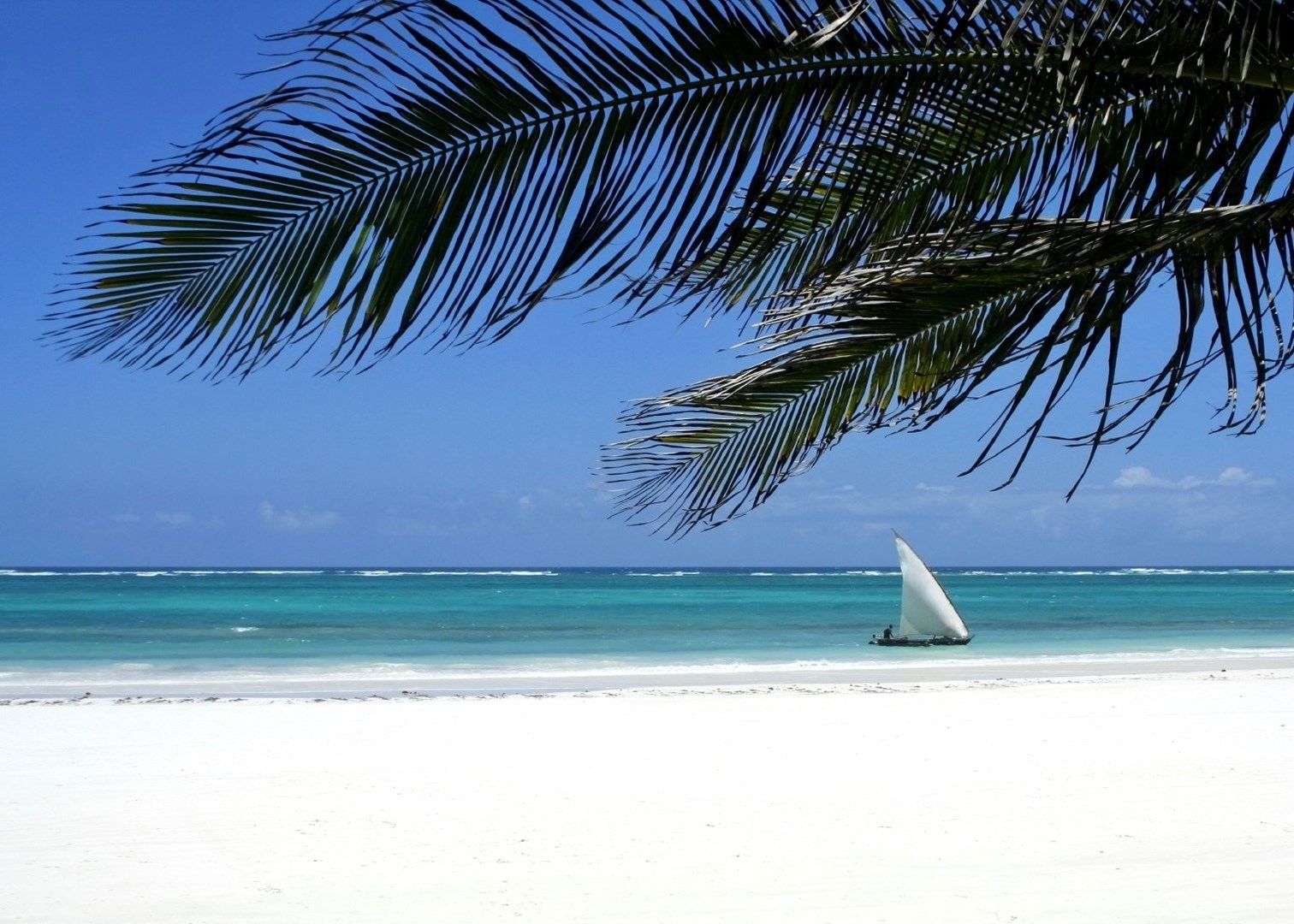 Diani Beach | LAT.40
