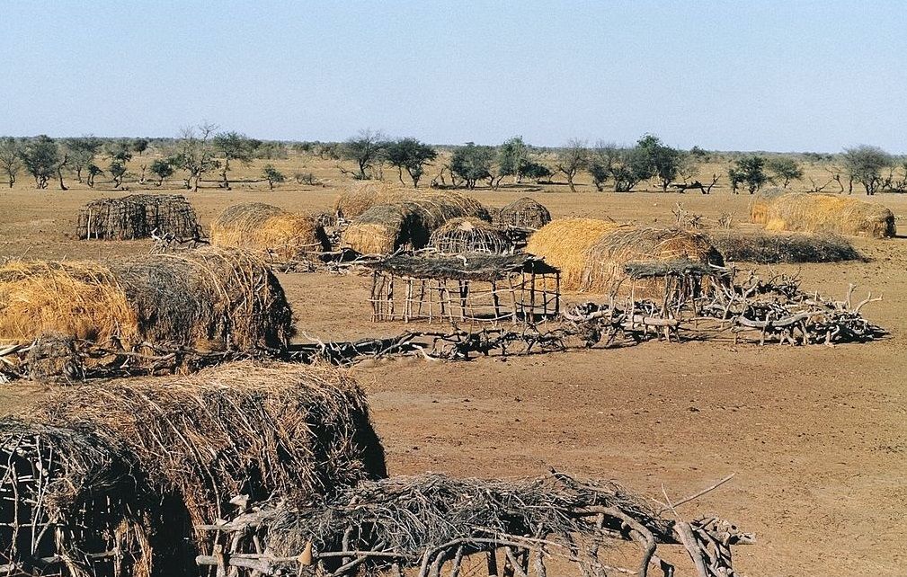 Ferlo Desert | LAT.40