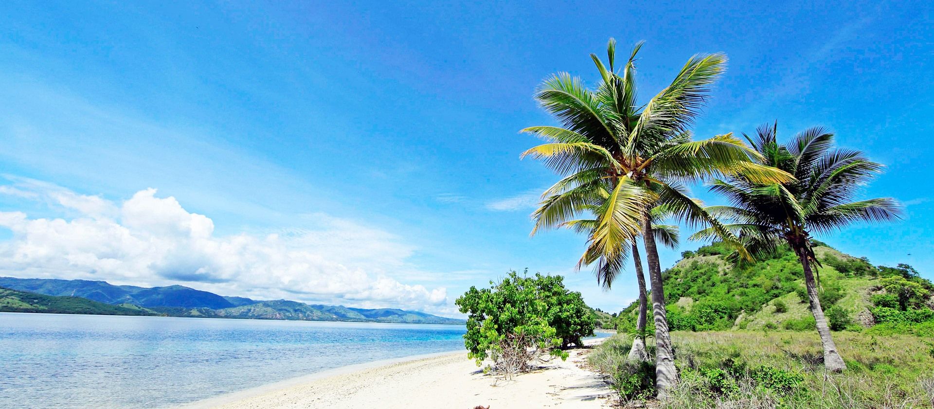 Flores Island | LAT.40