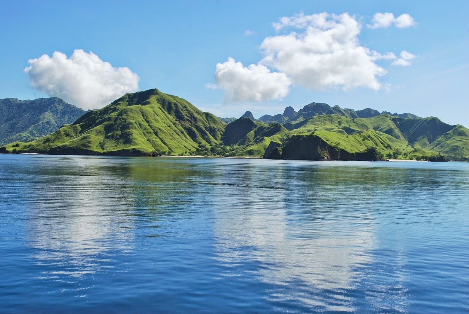 Flores Island | LAT.40