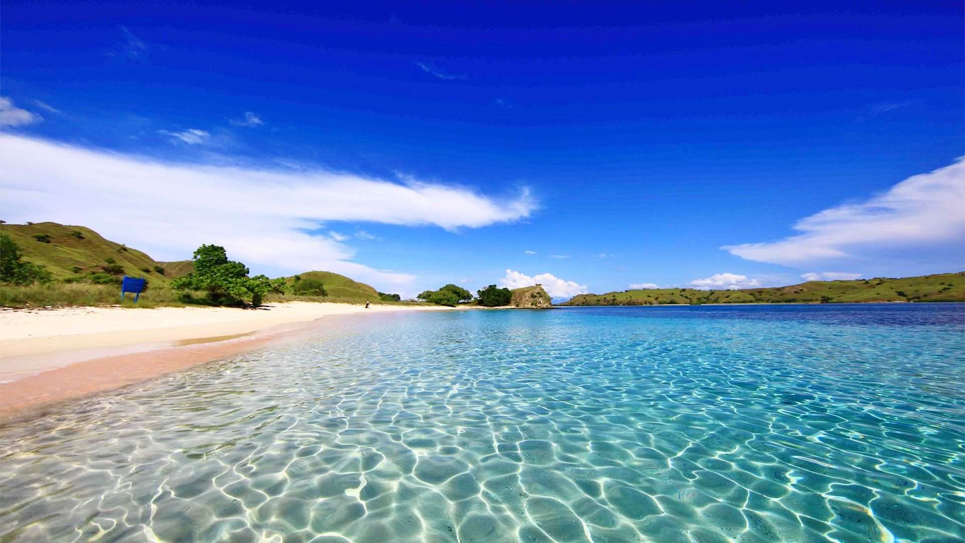 Flores Island | LAT.40