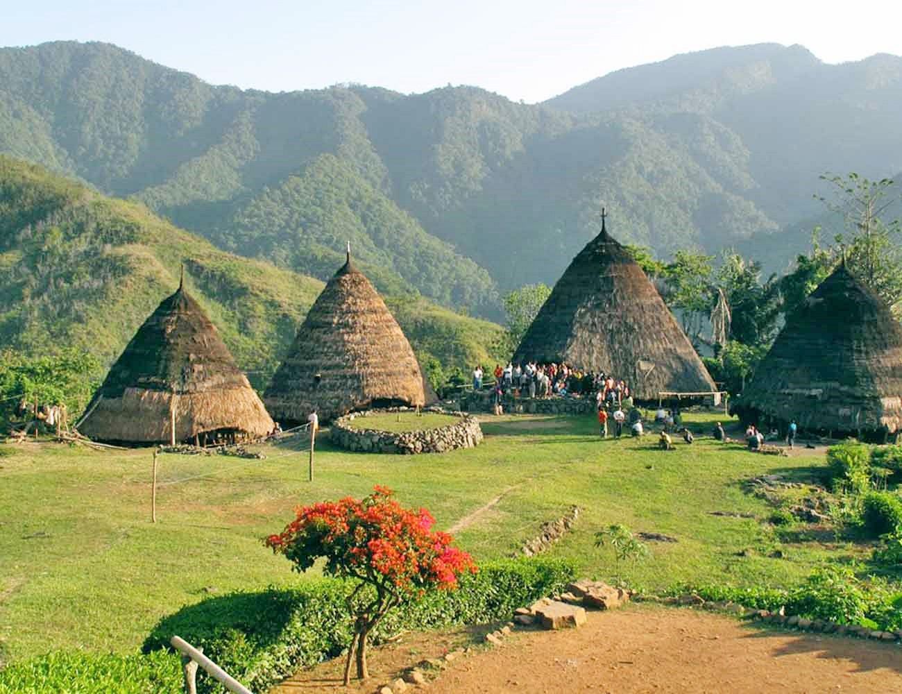 Flores Island | LAT.40