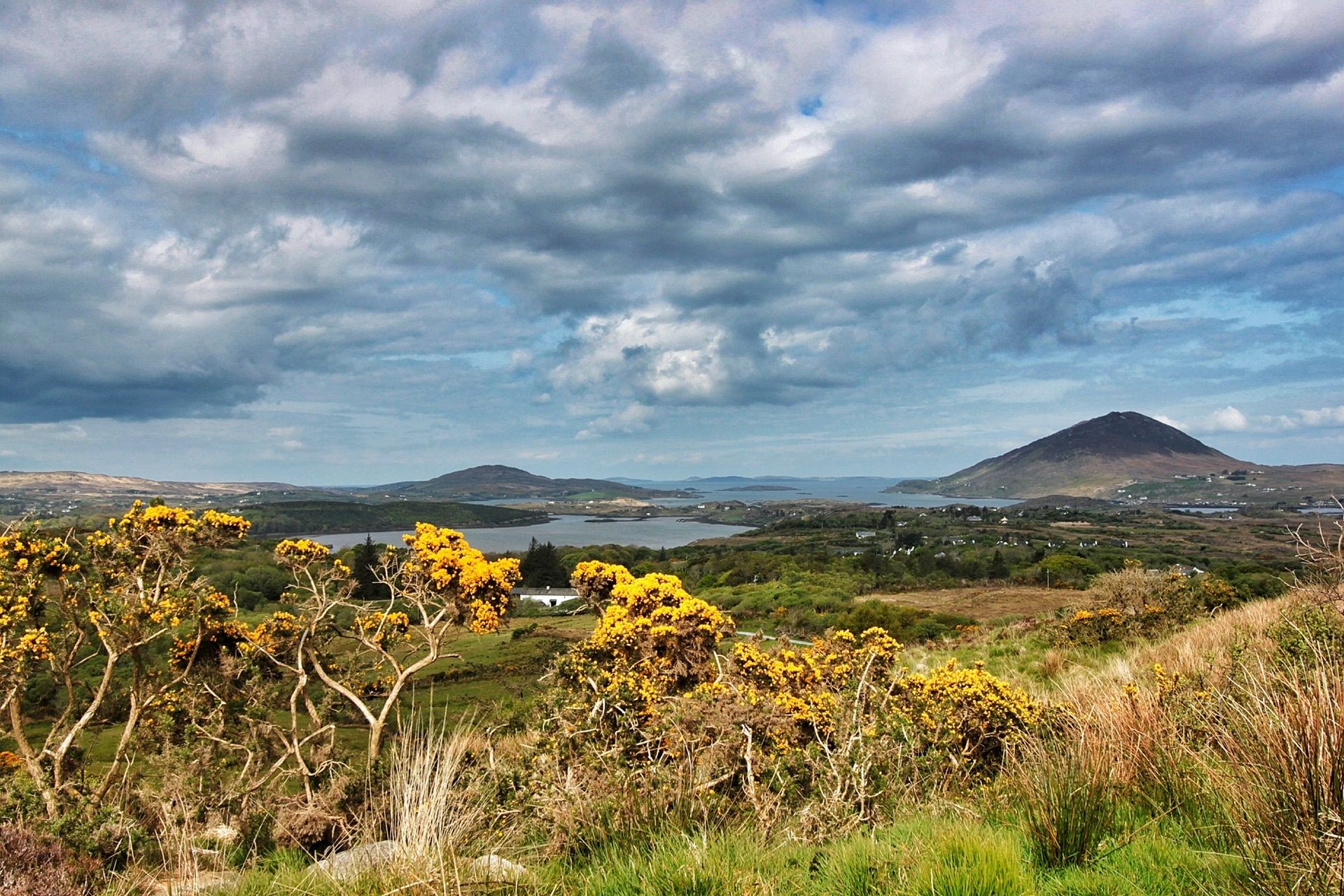Galway | LAT.40