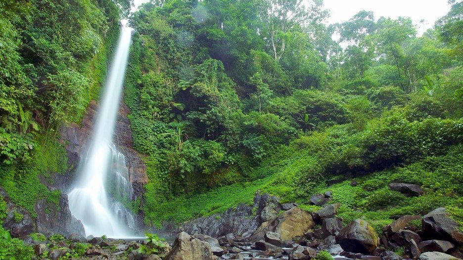 Git Git waterfall | LAT.40