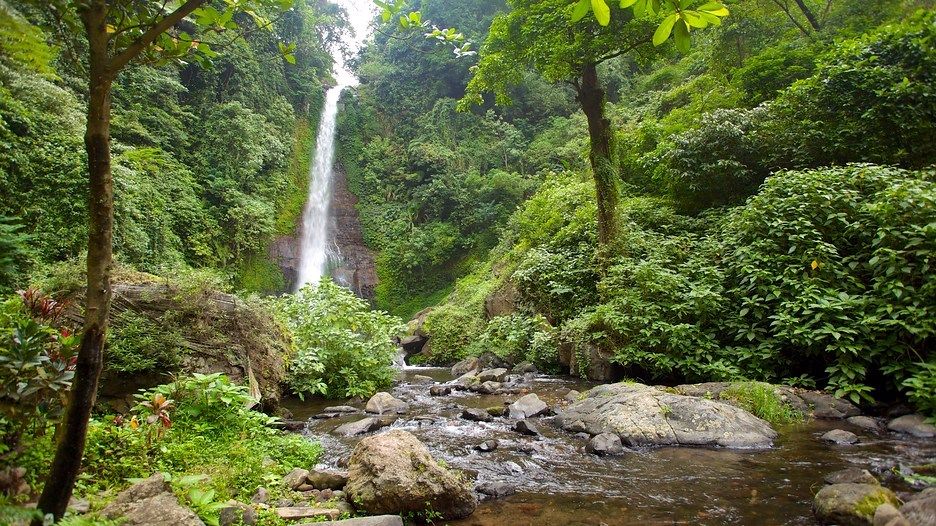Git Git waterfall | LAT.40