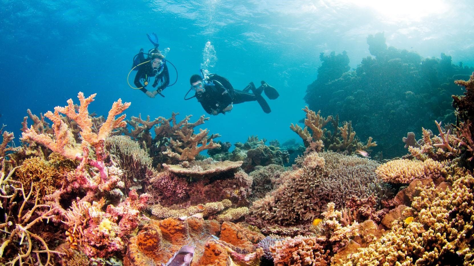 Gran Barrera de Coral | LAT.40
