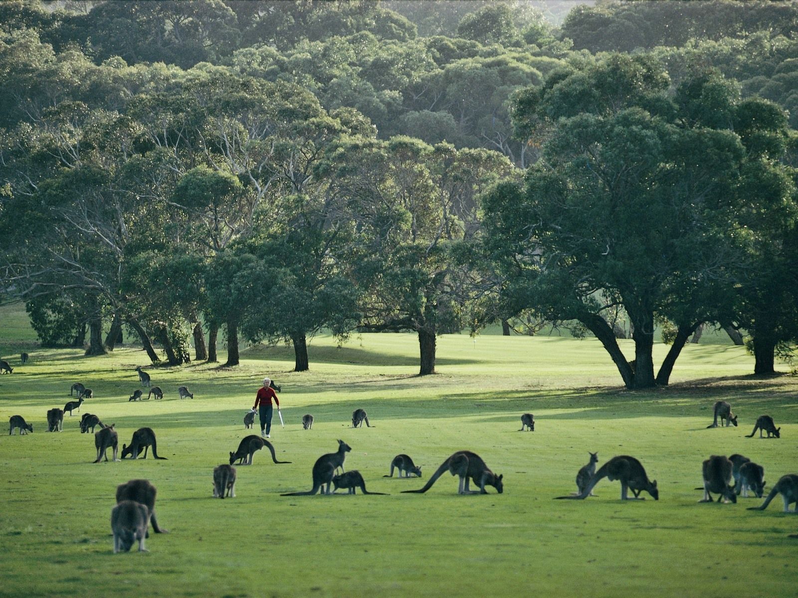 Great Ocean Road | LAT.40