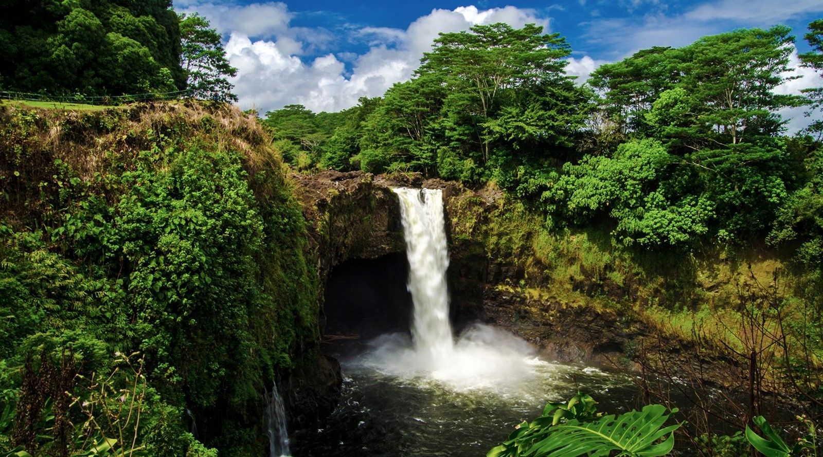 Hawaii | LAT.40