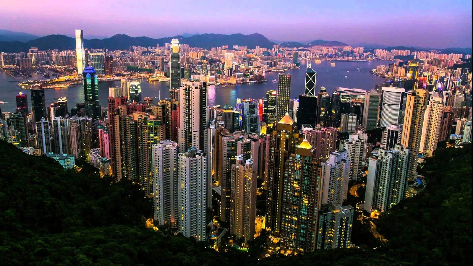 Hong Kong | LAT.40