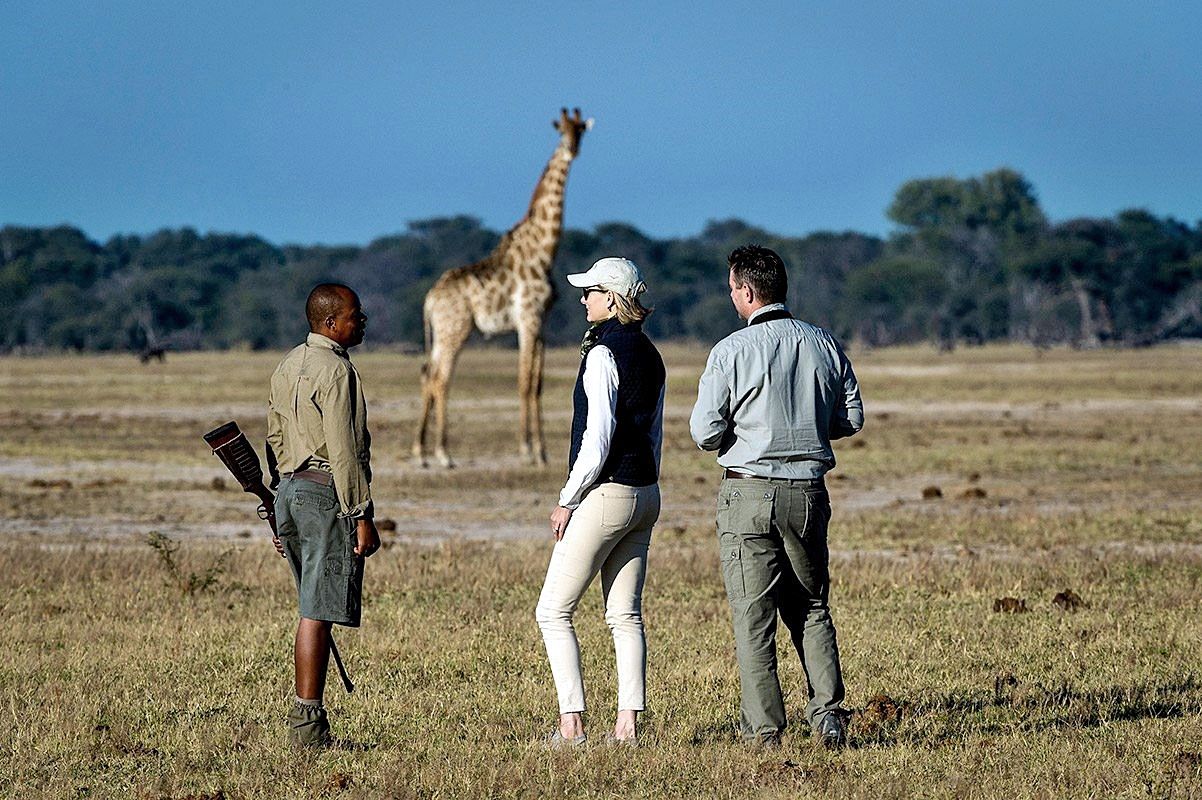 Linkwasha Camp en Hwange