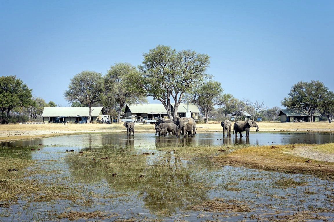 Linkwasha Camp en Hwange