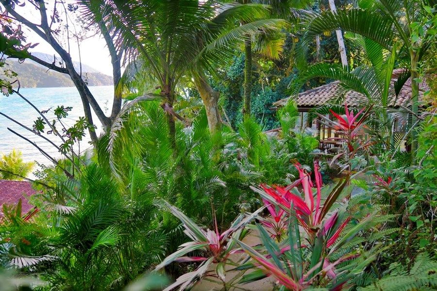 Atlantica Jungle Lodge en Isla grande