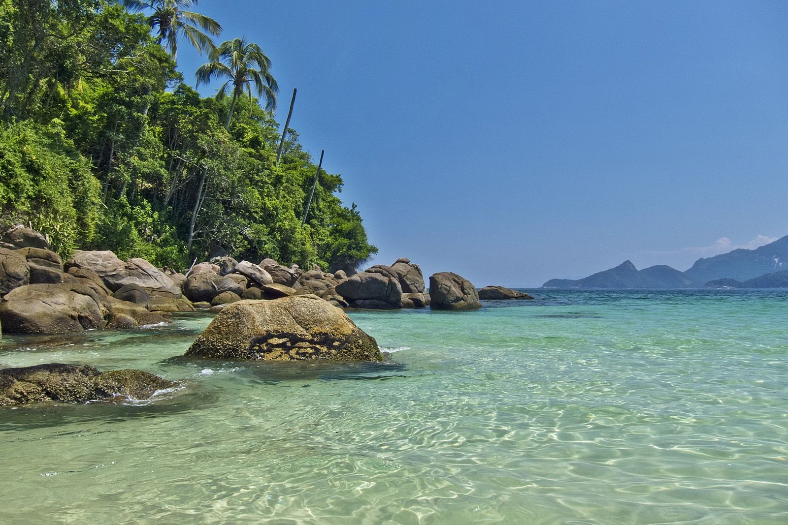 Isla grande | LAT.40
