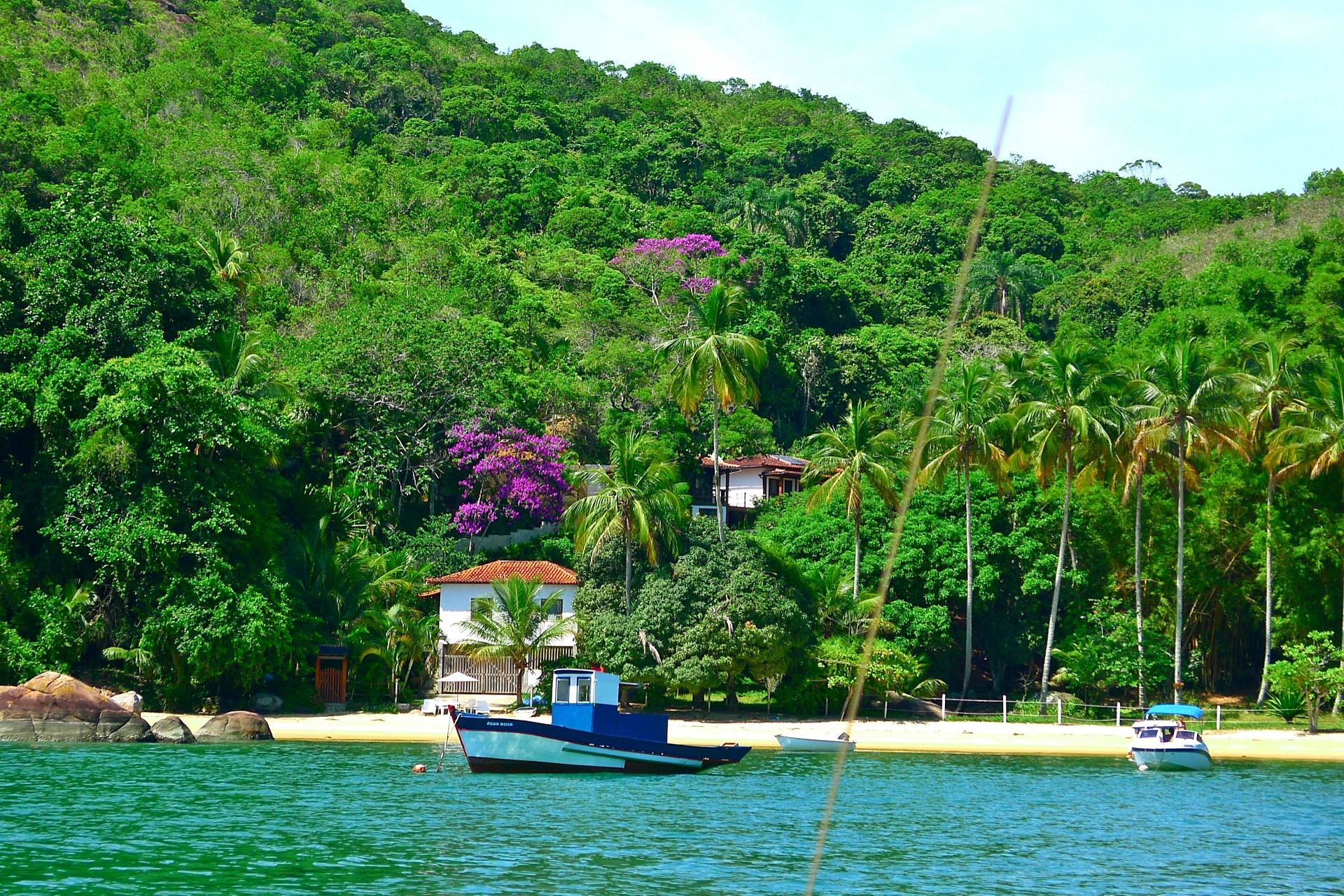 Isla grande | LAT.40