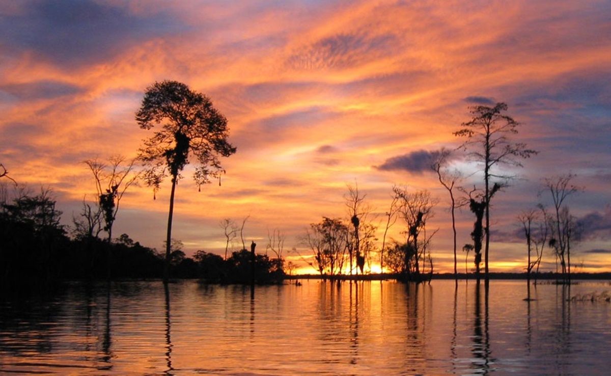 Iquitos | LAT.40