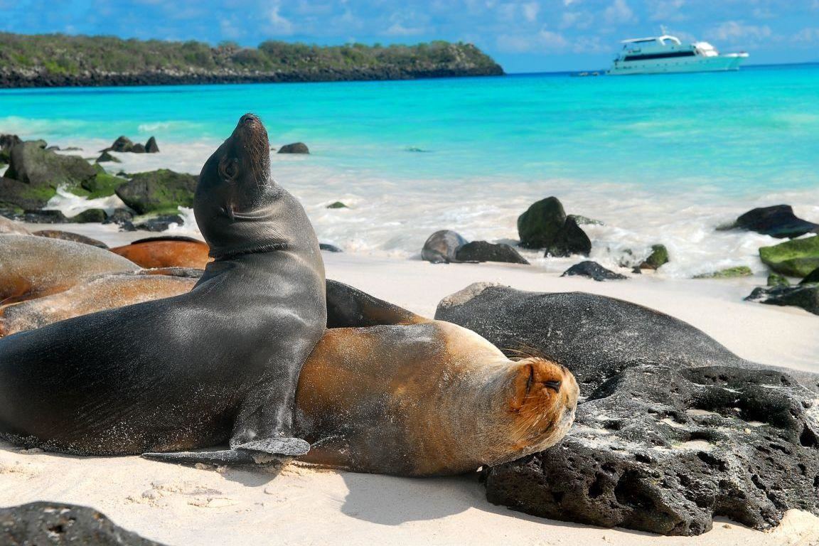 Islas Galapagos | LAT.40