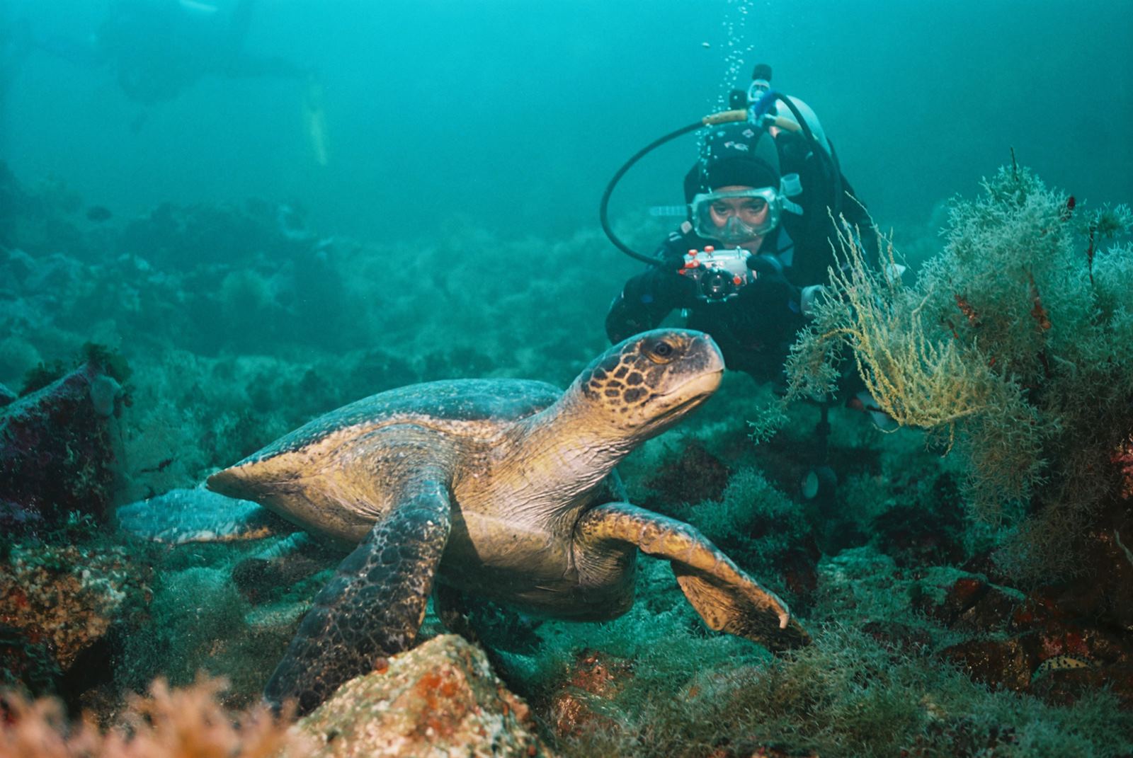 Islas Galapagos | LAT.40
