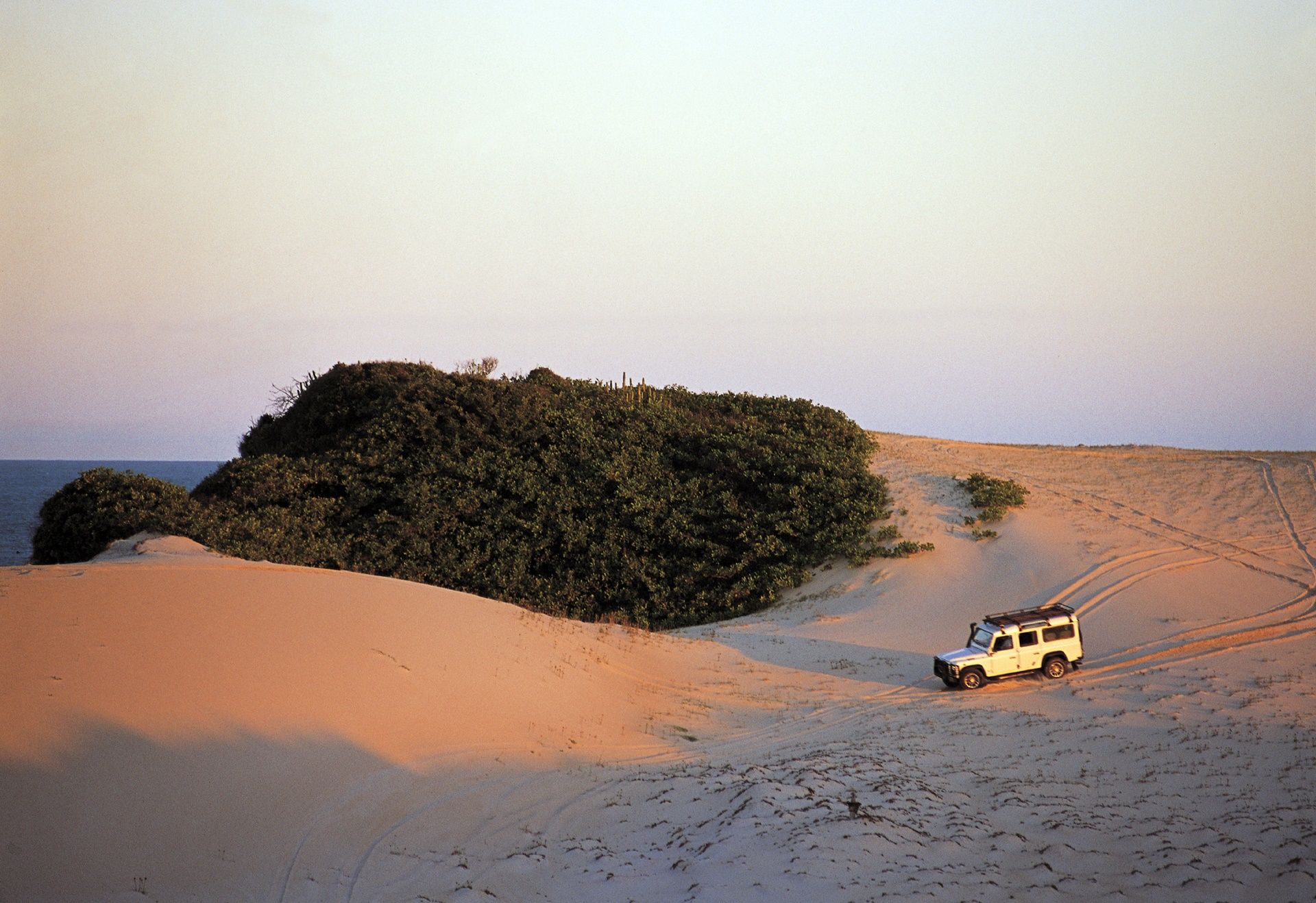 Jericoacoara | LAT.40