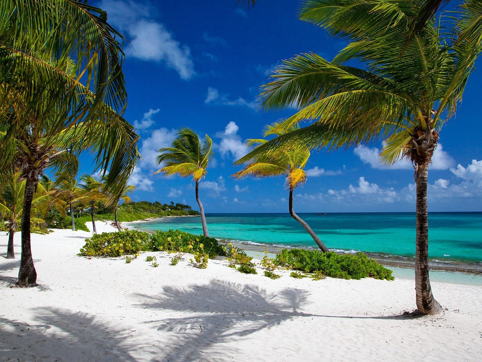 Jumby Bay Island Resort | LAT.40