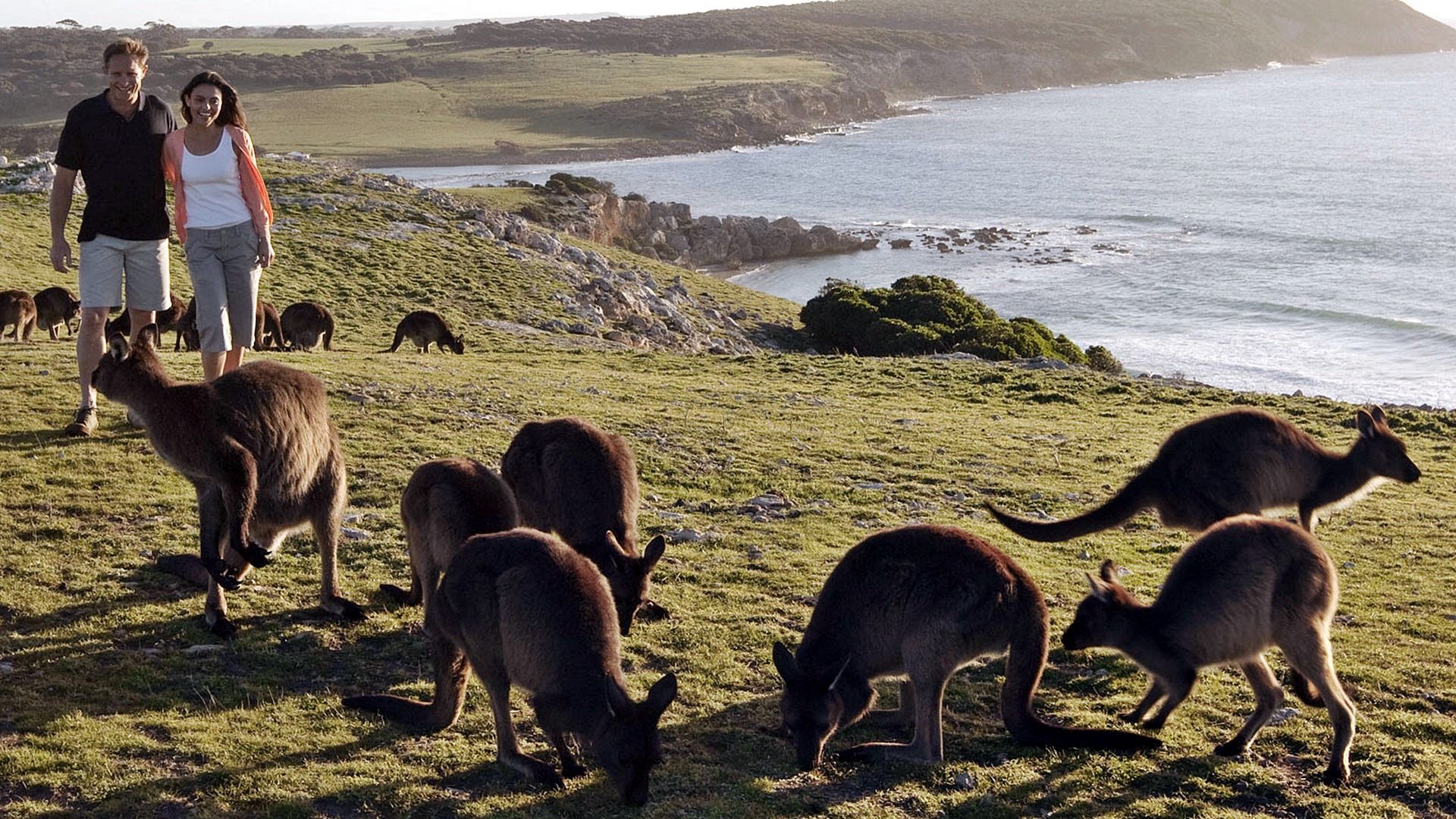 Kangaroo Island | LAT.40