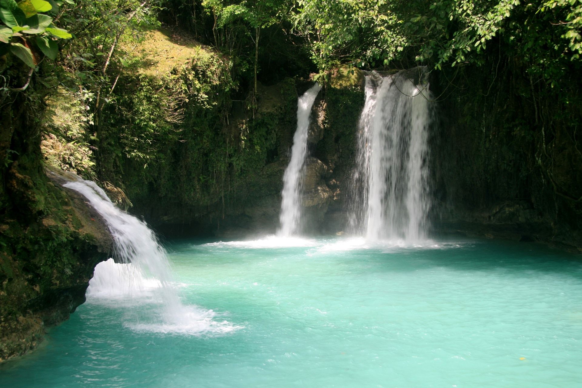Kawasan Falls | LAT.40