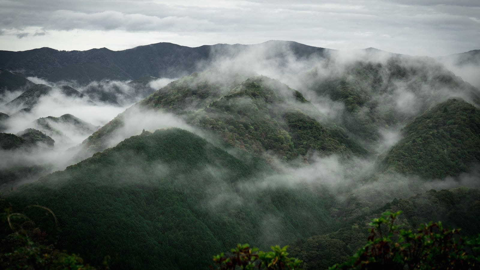 Kumano | LAT.40