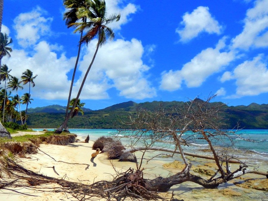 Las Galeras | LAT.40