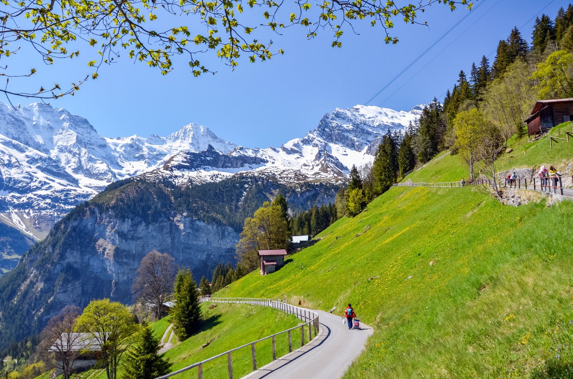 Lauterbrunnen | LAT.40