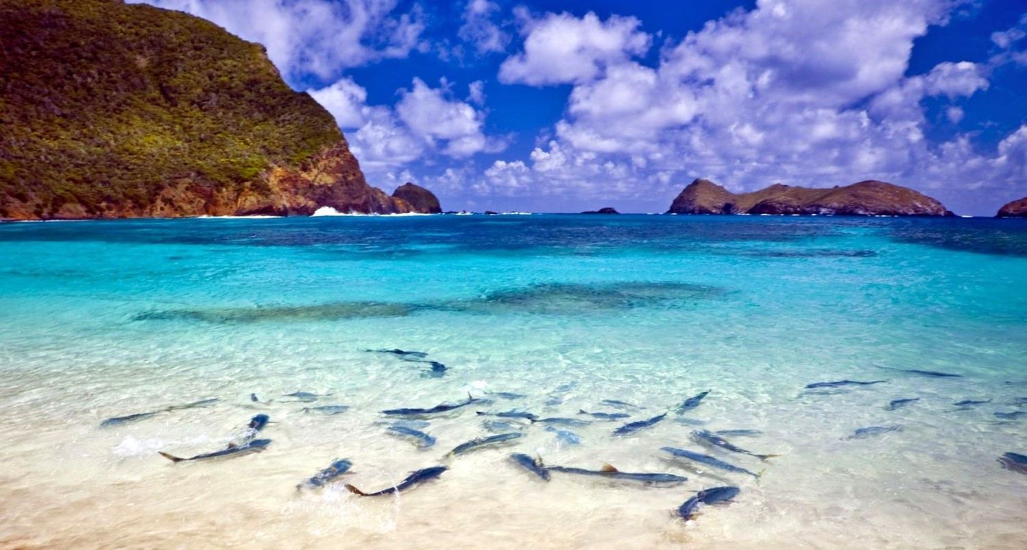 Lord Howe | LAT.40