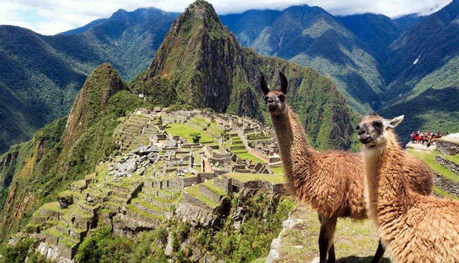 Machu Picchu | LAT.40