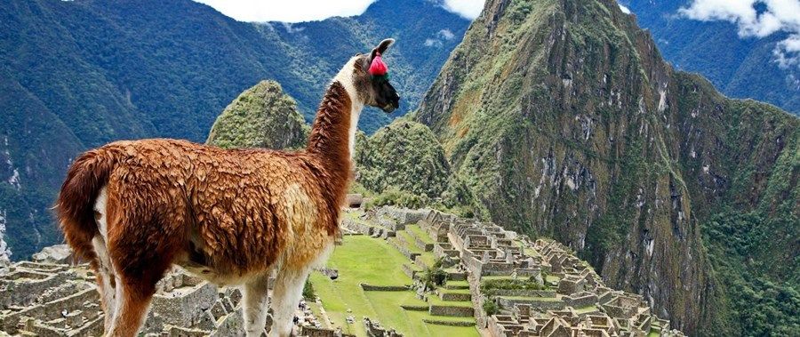 Machu Picchu | LAT.40