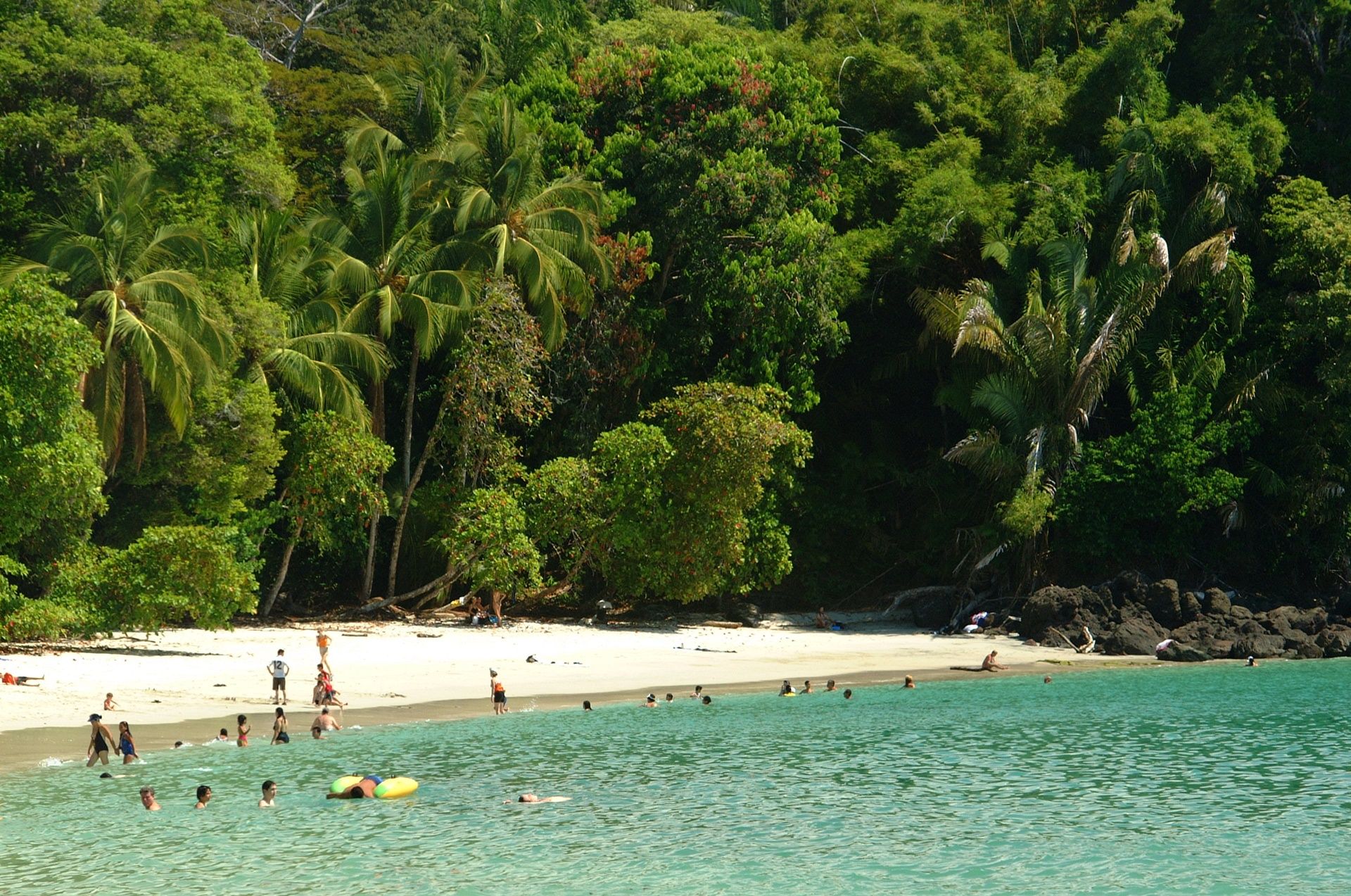 Manuel Antonio | LAT.40